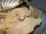 Pearl in Oyster Photographic Print by  Scientifica