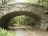 Bubble Pond Bridge, Acadia National Park, Maine Photographic Print by  Scientifica