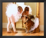 Reluctant Dancer Posters