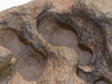 Wind Erosion and Weathering Antarctica Photographic Print by  Scientifica