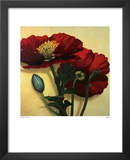 Poppies Prints by Rachel Deacon