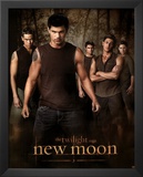 The Twilight Saga: New Moon Movie (Jacob, Group) Poster Print Prints