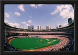 Busch Memorial Stadium St Louis Cardinals Archival Sports Photo Poster Print Print