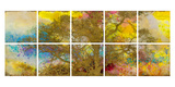 Late Afternoon Trees Composition Prints by Douglas 