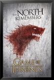 Game of Thrones-Wolf Poster