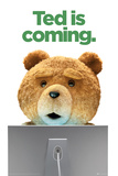 Ted-Is Coming Poster