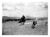 Raguero Cutting Out a Cow from the Herd (B/W Photo) Giclee Print by Dane Coolidge