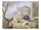 A Cat in a Cage (Pen and Ink with Wash on Paper) Giclee Print by Gottfried Mind or Mindt