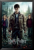 Harry Potter 7-Part 2 One Sheet Plakat