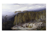The Forest of Valdoniello, Corsica, 1869 (Oil on Canvas) Giclee Print by Edward Lear