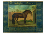 The Godolphin Arabian (Oil on Canvas) Giclee Print by D. Quigley