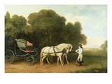 A Phaeton with a Pair of Cream Ponies in the Charge of a Stable-Lad, C.1780-5 (Oil on Panel) Giclee Print by George Stubbs