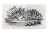 A Bend in the River from 'History of British Birds, Volume 2: Water Birds', 1804 (Woodcut) Giclee Print by Thomas Bewick