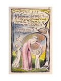 The Fly', Plate 37 from 'Songs of Innocence and of Experience' [Bentley 40] C.1789-94 Lámina giclée por William Blake