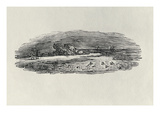 Rocks with Coastal Shipping, C. 1801, from 'Water Birds', Published 1804 (Wood Engraving) Giclee Print by Thomas Bewick