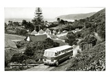 Wilderness, on S.A.R. Motor Coach Route (B/W Photo) Giclee Print by  South African Photographer