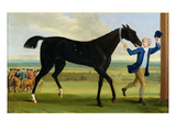 The Duke of Rutland's 'Bonny Black', C.1720 (Oil on Canvas) Giclee Print by John Wootton
