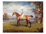 The Duke of Hamilton's Disguise with Jockey Up (Oil on Canvas) Giclee Print by George Garrard