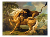 A Lion Attacking a Horse, C.1762 (Oil on Canvas) Giclee Print by George Stubbs