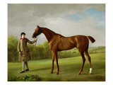 Lustre, Held by a Groom, C.1760-62 (Oil on Canvas) Giclee Print by George Stubbs