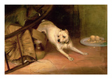 Dog Chasing a Rat (Oil on Canvas) Giclee Print by Briton Riviere