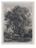 The Willow (Etching) Giclee Print by Samuel Palmer