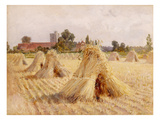 Corn Stooks by Bray Church, 1872 (Oil on Paper Laid on Board) Giclee Print by Heywood Hardy