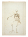 Study of the Human Figure, Anterior View Giclee Print by George Stubbs