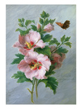 Hibiscus Against a Marble Ledge (Oil on Panel) Giclee Print by Cornelis van Spaendonck