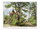 Chinese Temple, Kew Gardens, Plate 13 from 'Kew Gardens: a Series of Twenty-Four Drawings on Stone' Giclee Print by George Ernest Papendiek