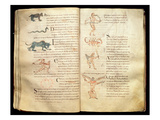 Ms 422 Fol.26V and 27R Path of the Moon across the Constellations, from 'De Natura Rerum' Giclée-Druck von  French