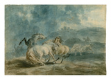 Horses Fighting (W/C over Graphite on Heavy Texture Laid Paper) Giclee Print by Sawrey Gilpin