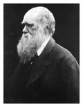Charles Darwin, C.1870 (B/W Photo) Giclee Print by Julia Margaret Cameron