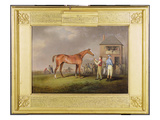 Portrait of 'Quiz', the Property of Lord Rous, after His Last Race at Newmarket (Oil on Canvas) Giclee Print by Henry Bernard Chalon