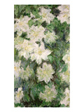 White Clematis, 1887 (Oil on Canvas) Giclee Print by Claude Monet