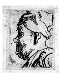 Old Man with a Snub Nose, C.1629 (Etching) Giclee Print by Rembrandt van Rijn 