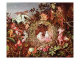 Fairies in a Bird's Nest (Without the Frame - See also 84823) Giclee Print by John Anster Fitzgerald
