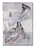A Witch and a Woman, from a Manga (Colour Woodblock Print) Giclee Print by Katsushika Hokusai