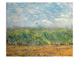 Wheatfield with Lark, 1887 (Oil on Canvas) Reproduction procédé giclée par Vincent van Gogh