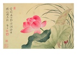 Lotus Flower, by Yun Shou-P'Ing (1633-90), from an 'Album of Flowers', (W/C on Silk Backed Paper) Reproduction procédé giclée par  Yun Shouping