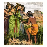 Moses Discovered Giclee Print by  English
