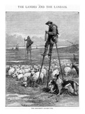 The Shepherd's Dinner-Time, Engraved by Charles Butterworth (Engraving) Giclee Print by Auguste Francois Laby