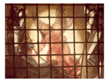 The Angel Wakes St Peter, from 'The Liberation of St Peter' in the Stanza D'Eliodoro, 1512-14 Reproduction procédé giclée par Raphael 