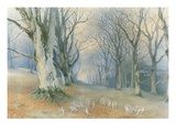 Fairies and Squirrels, C.1870 (W/C on Paper) Giclee Print by Richard Doyle