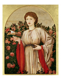 Girl with Book with Roses Behind (Oil on Canvas) Giclee Print by Sir Edward Burne-Jones