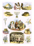 Biblical Illustrations Giclee Print by  English
