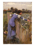 The Flower Picker (Oil on Canvas) Giclee Print by John William Waterhouse