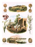 Biblical Illustrations Giclee Print by  English