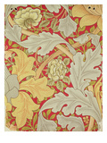 Acanthus Leaves and Wild Rose on a Crimson Background, Wallpaper Design Reproduction procédé giclée par William Morris