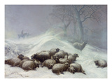 Under the Shelter of the Shapeless Drift, January 18th 1881 (Oil on Canvas) Giclee Print by Thomas Sidney Cooper